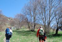 Monte cucuzzo  Aprile 2018 (24)